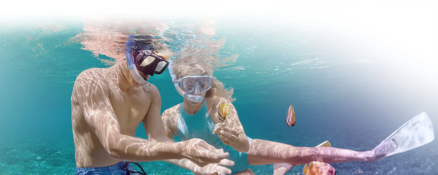 Man and woman snorkeling on a reef.